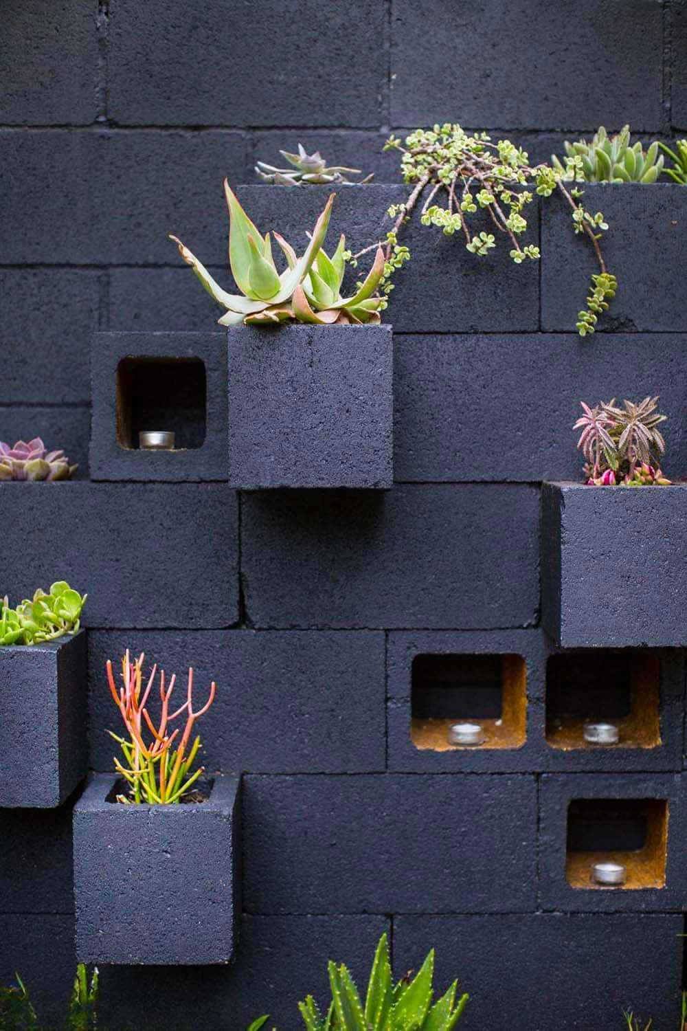 Cinder Block Succulent Wall