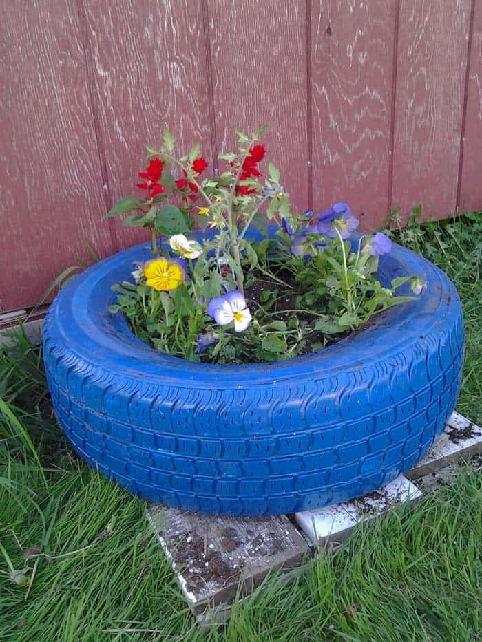 Repurposed Tire Makes A Colorful Planter