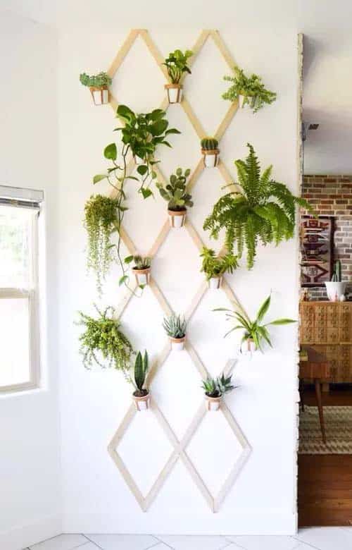 A New Way to Garden Indoors