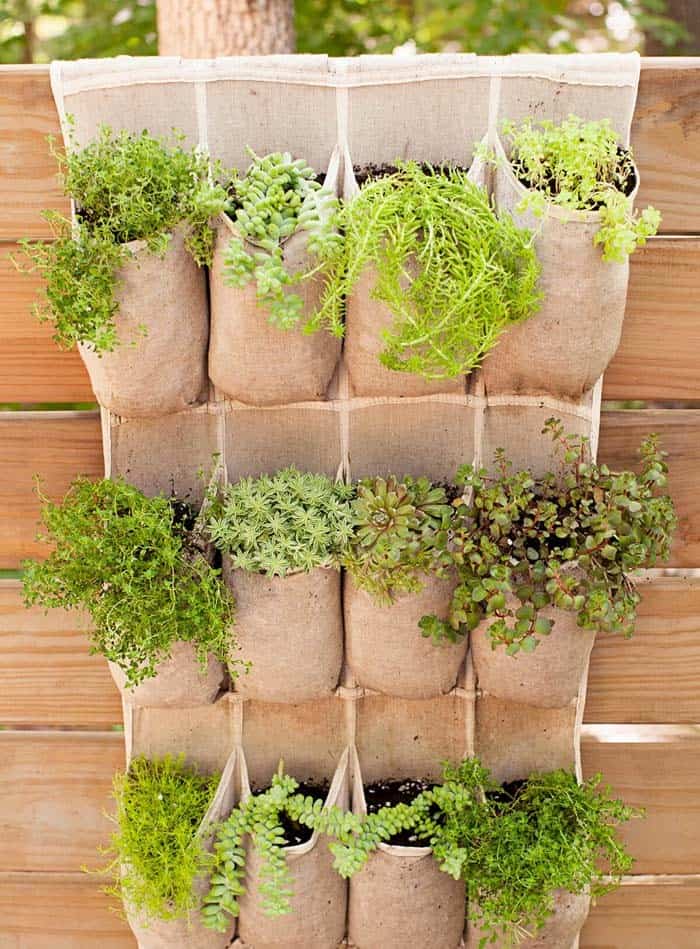 Shoe Holder Adds Vertical Garden Space