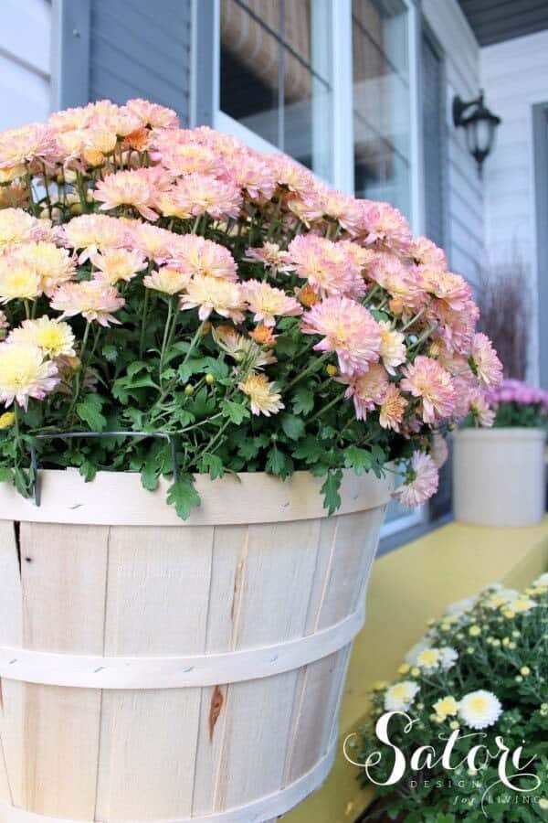 Whitewash Barrels for Use as Flower Planters