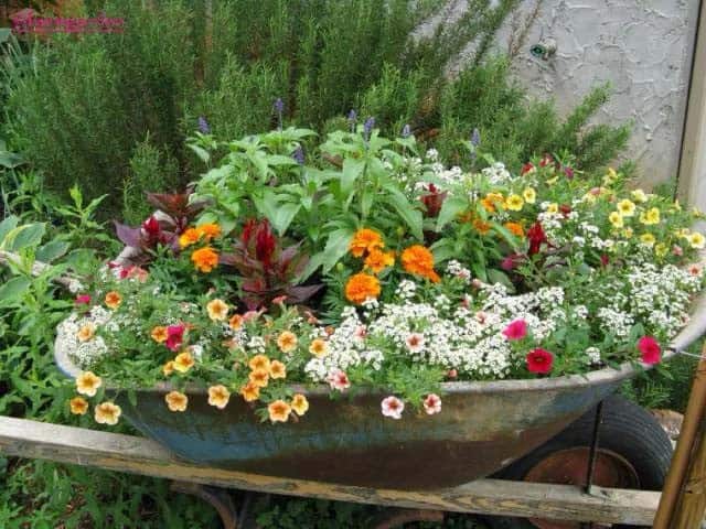 A Well-Balanced Wheelbarrow Holds More Flowers