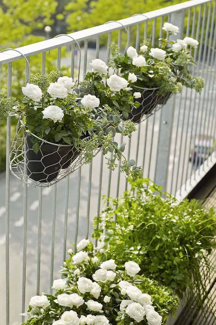 Add an Elegant Touch with a Rose Garden