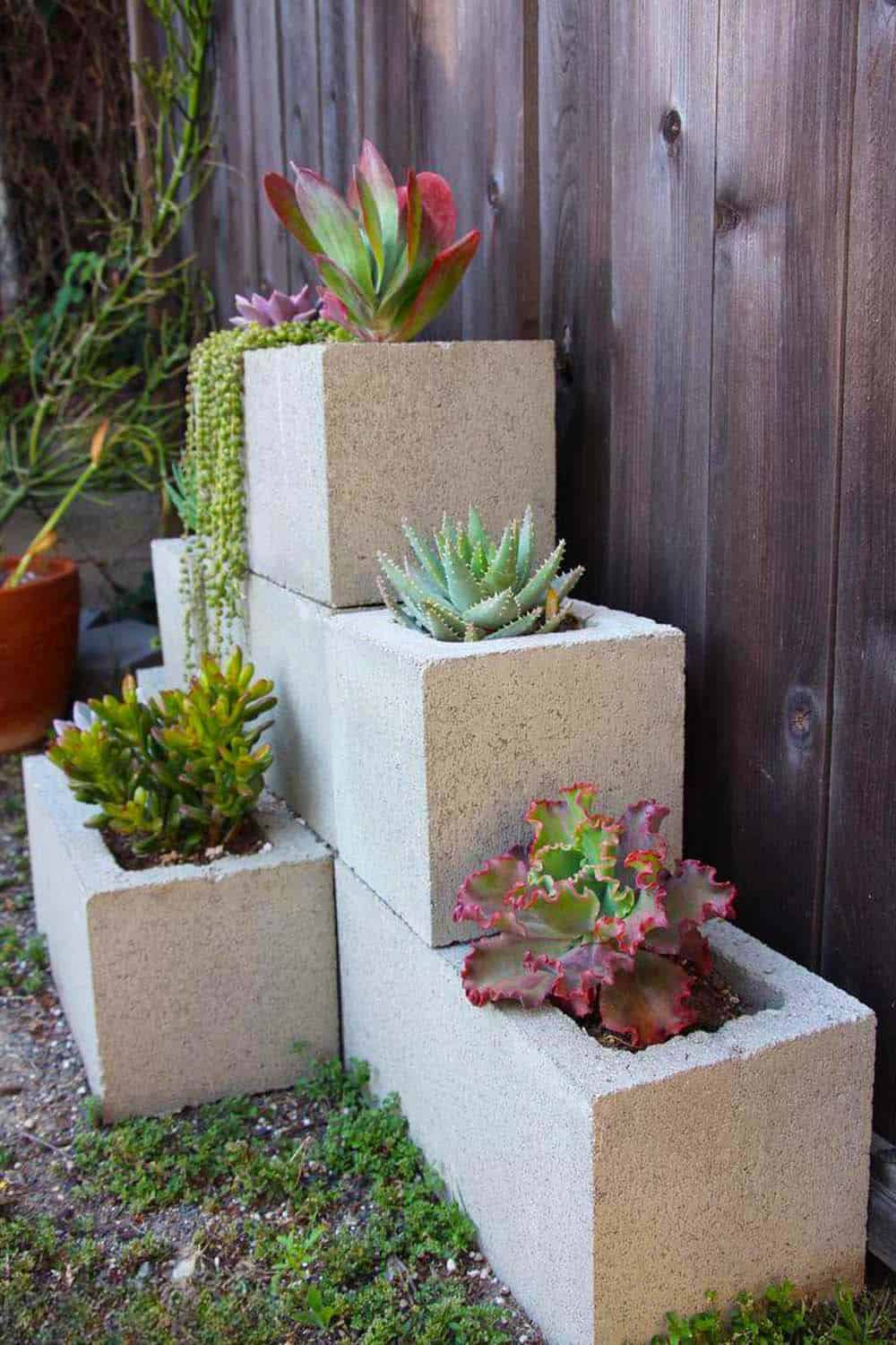 Cinder Block Succulent Stairs