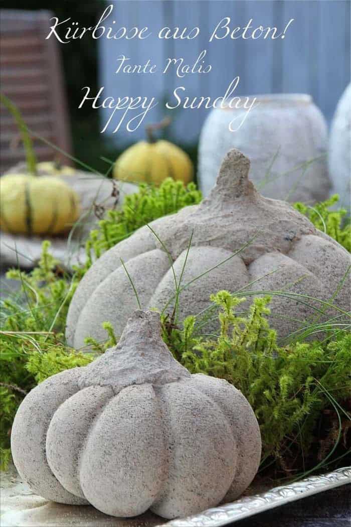 Craft Autumn Decoration Using Concrete and a Pumpkin Mold