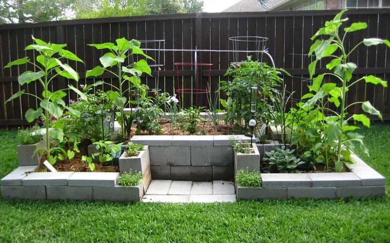 Vegetable Garden Idea