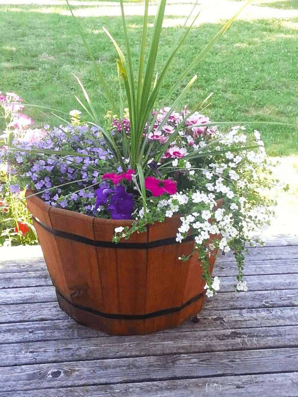 Barrel Planter Blooms