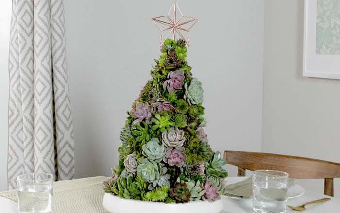 Enhance Holiday Dinners with a Tabletop Succulent Tree