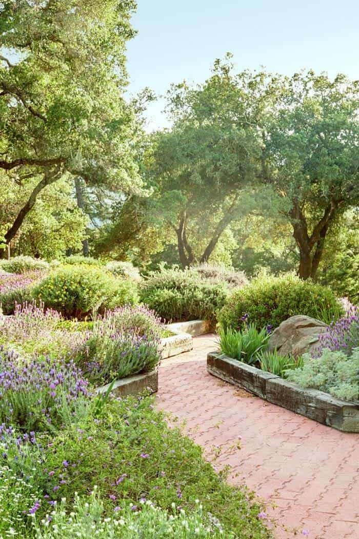 Enhance Your Wild Garden with Stone and Wood Pathway