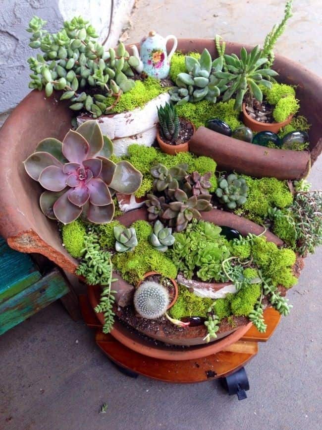 Elevate Your Porch with a Lush Succulent Fairy Garden