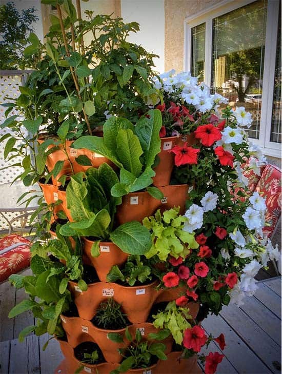 Maximize Space with a Tiered Tower Garden