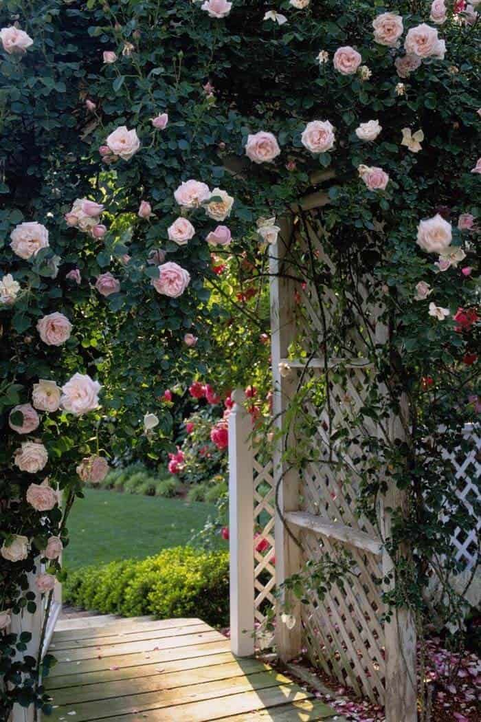 Create a Romantic Ambiance with Arbors and Roses