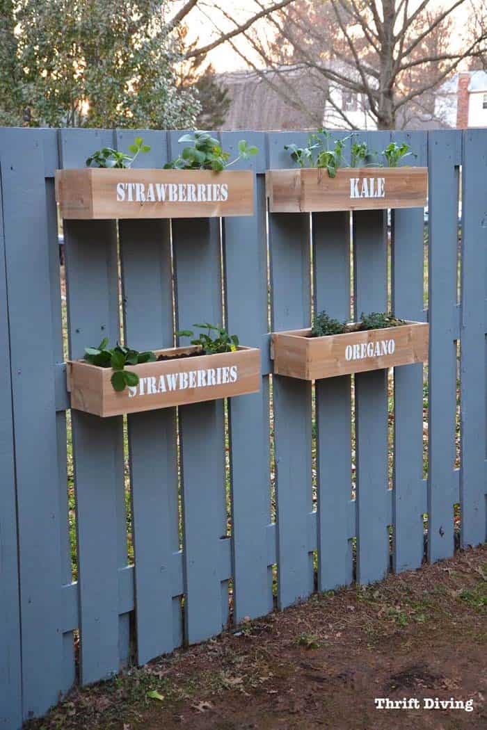 Elevate An Herb Garden With Stenciled Boxes