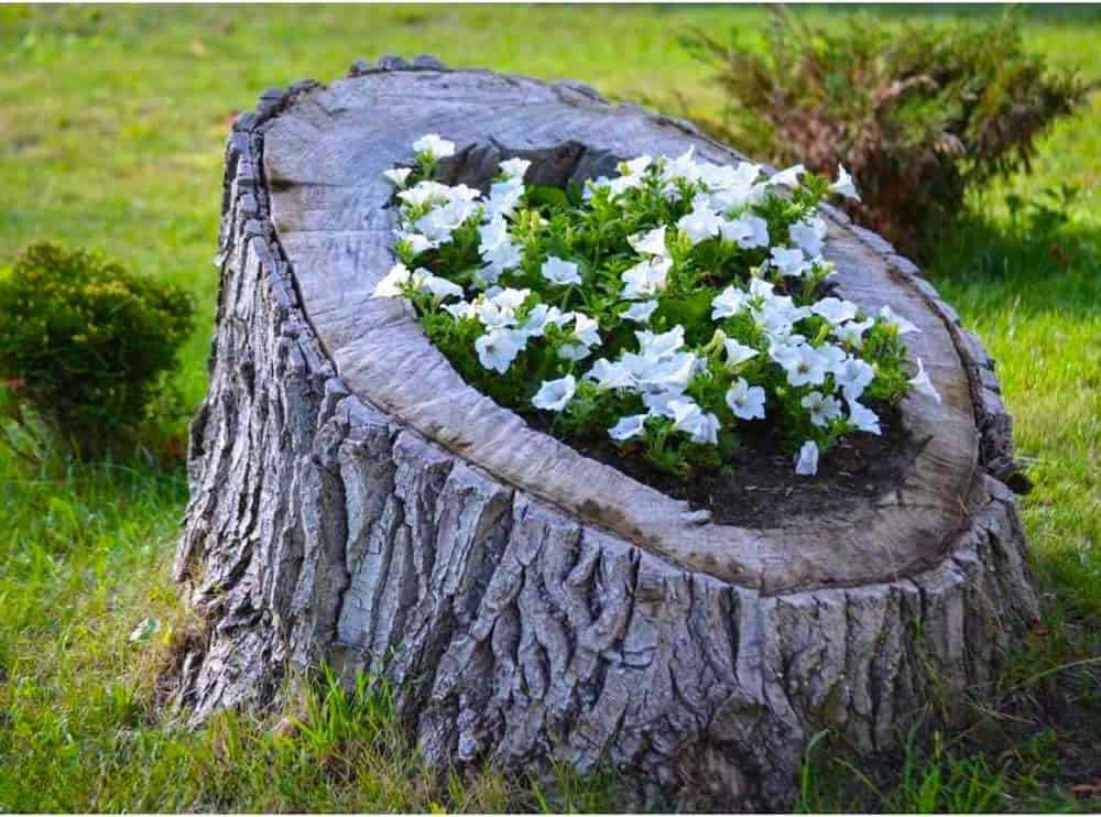 Natural Stump Planter