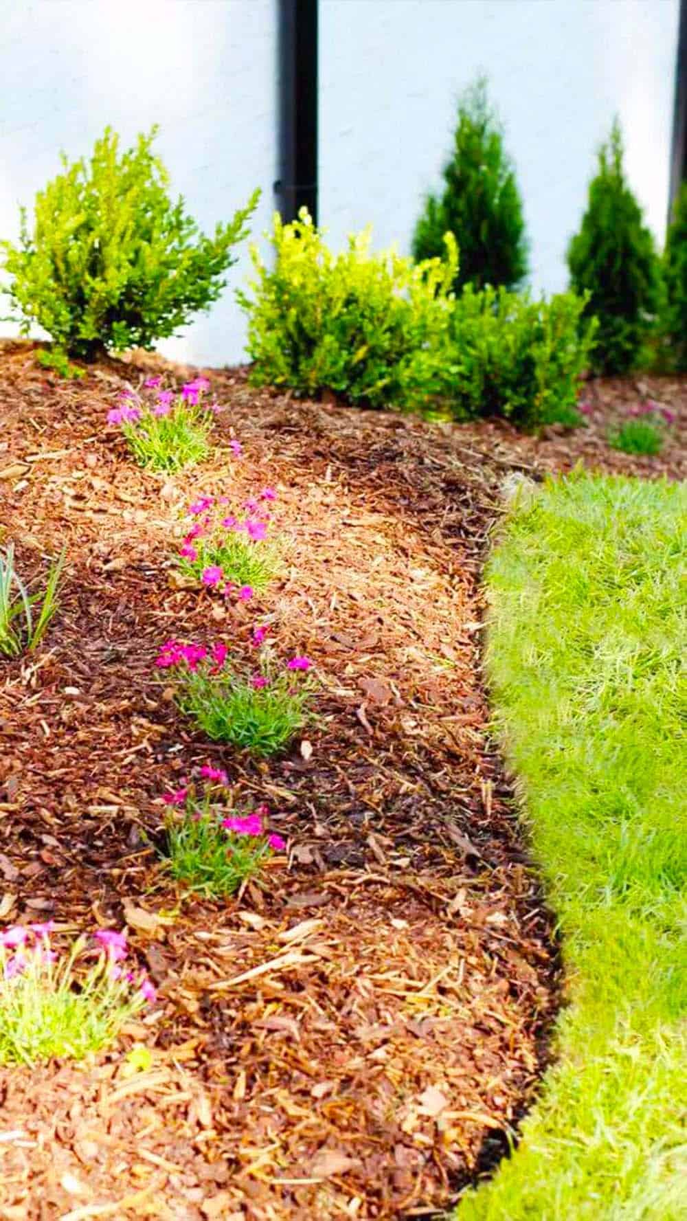 Mulched Garden Slope