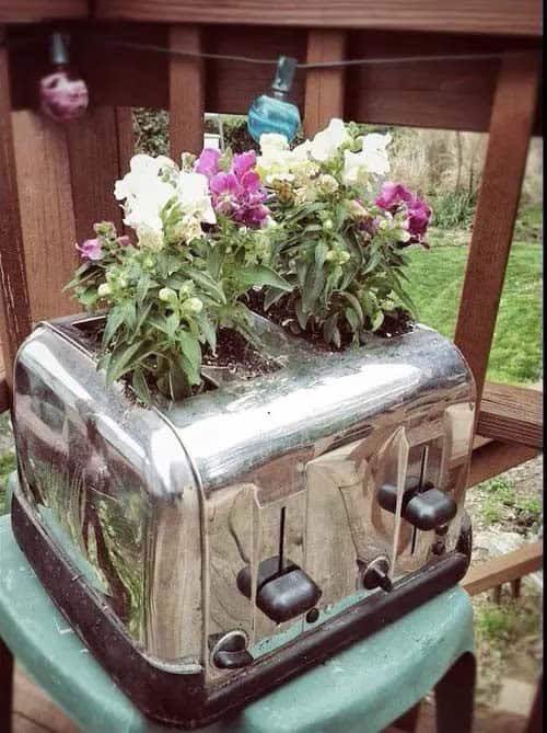 Transform Your Toaster Into a Creative Planter