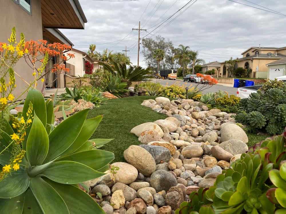 Dry Creek Bed