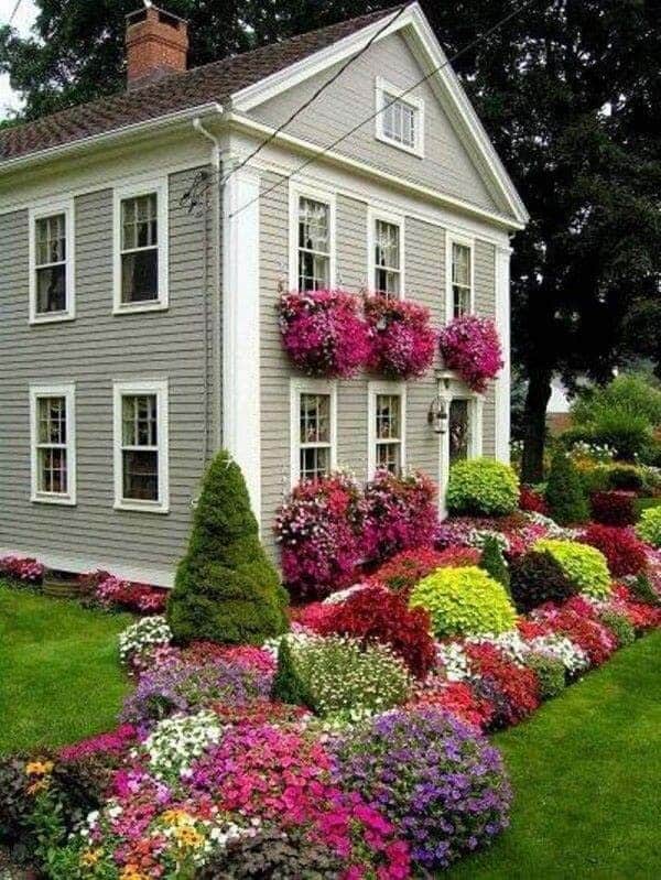 Annuals Add Color Through Multiple Seasons