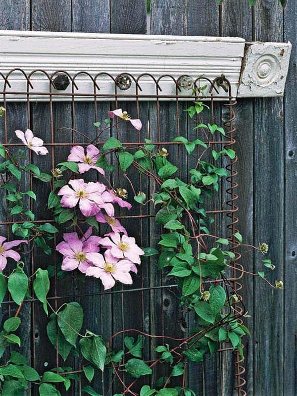 Cottage Look Wire Trellis