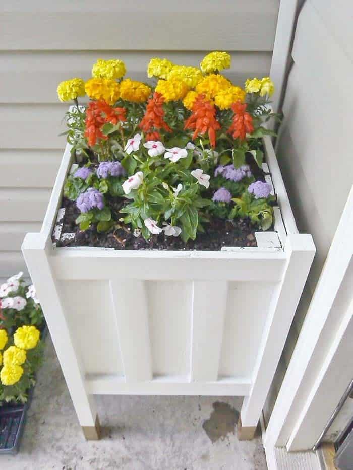 DIY $8 Front Porch Planter