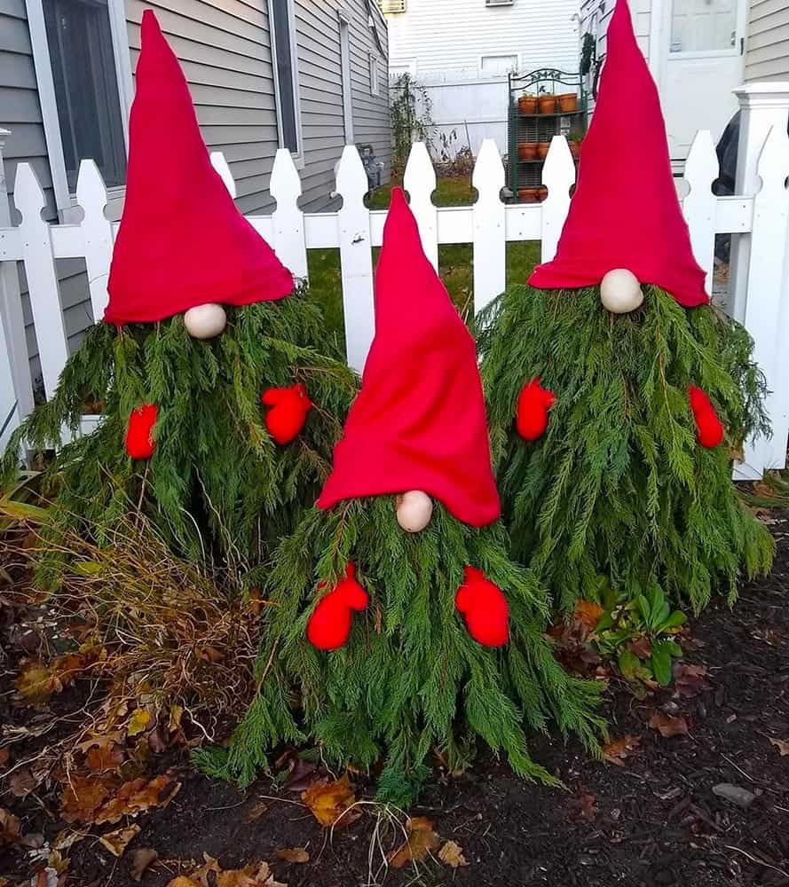 Gnomes Are Sprouting From Trees