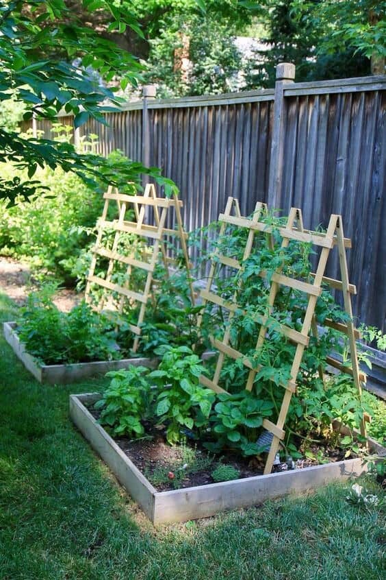 Grow Vegetables on a Trellis