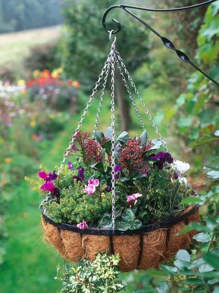 Hanging Planter for Year-Round Foliage and Blooms