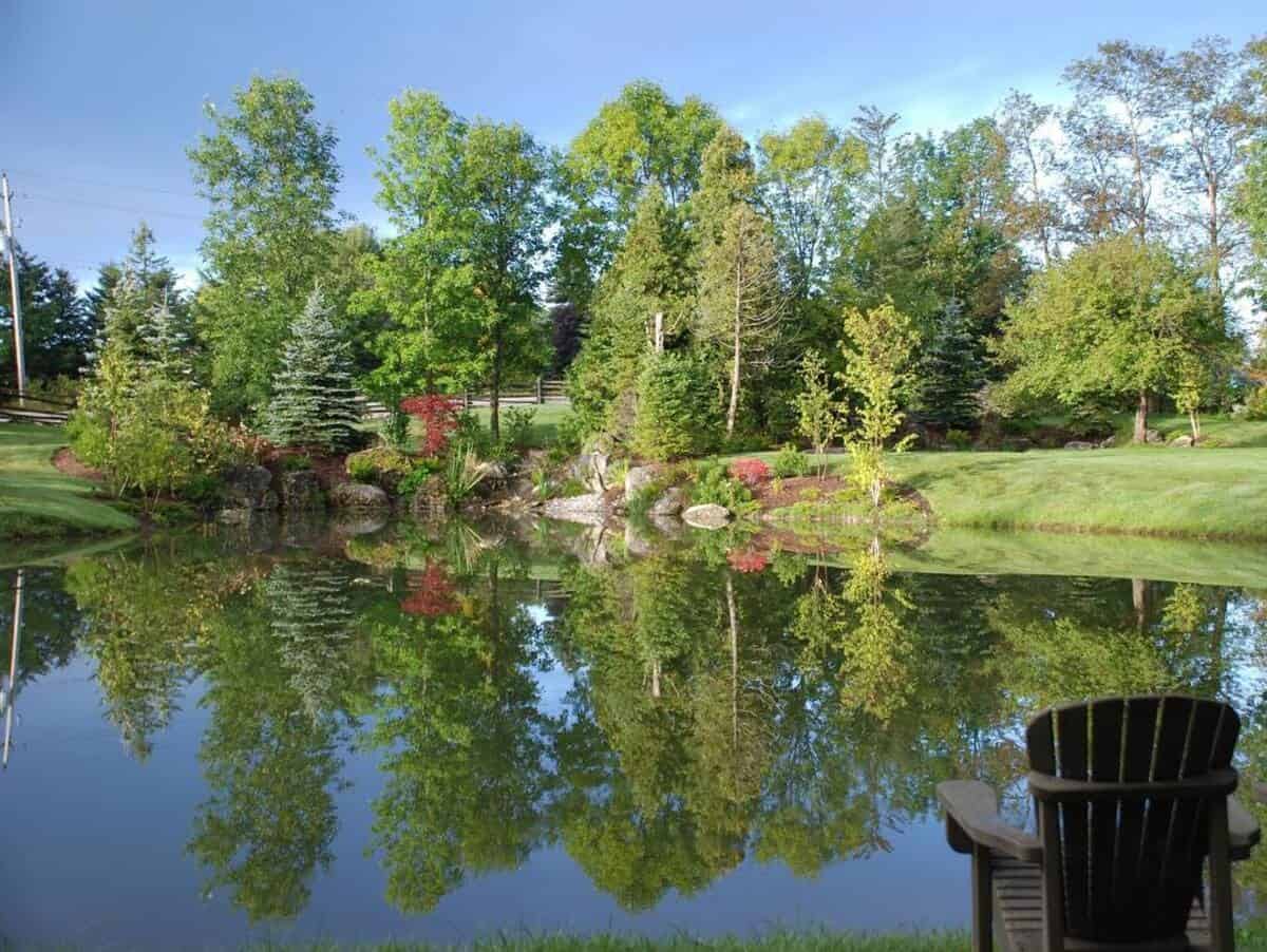 A Pool With Rich Biodiversity