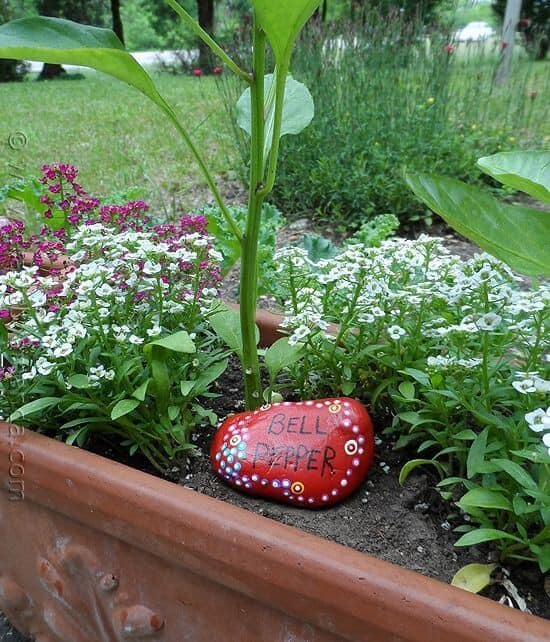 Paint Long-Lasting Plant Markers