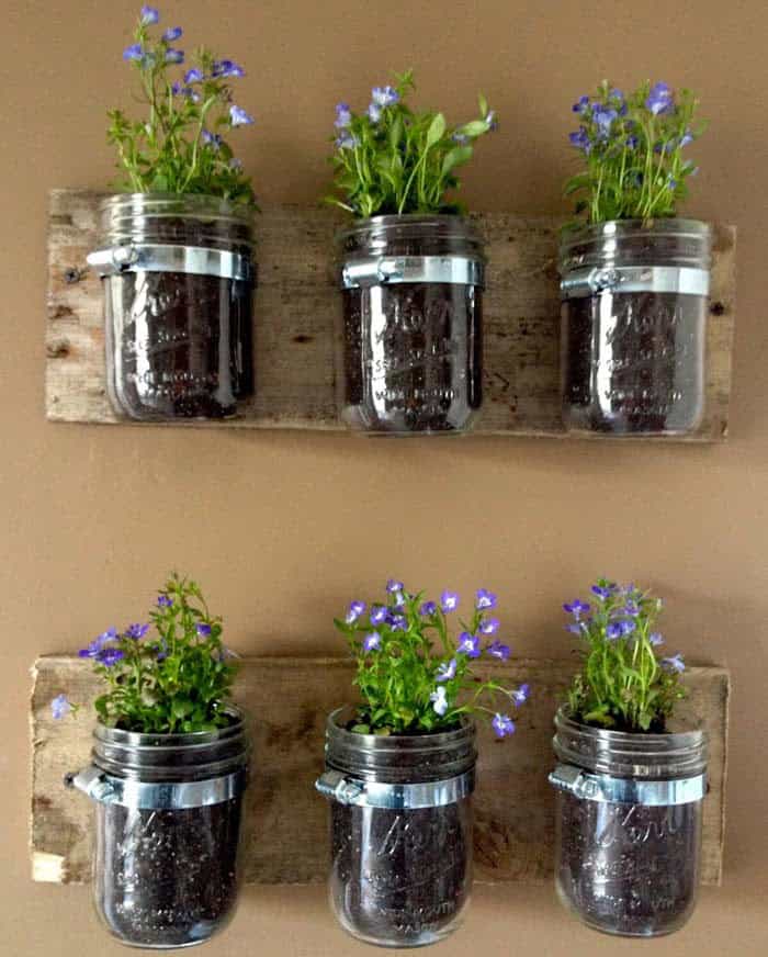 Cute Purple Flower Mason Jar Planters