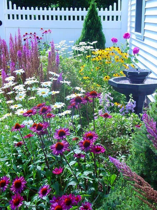 Create a Unique and Charming Garden Layout with Birdbaths