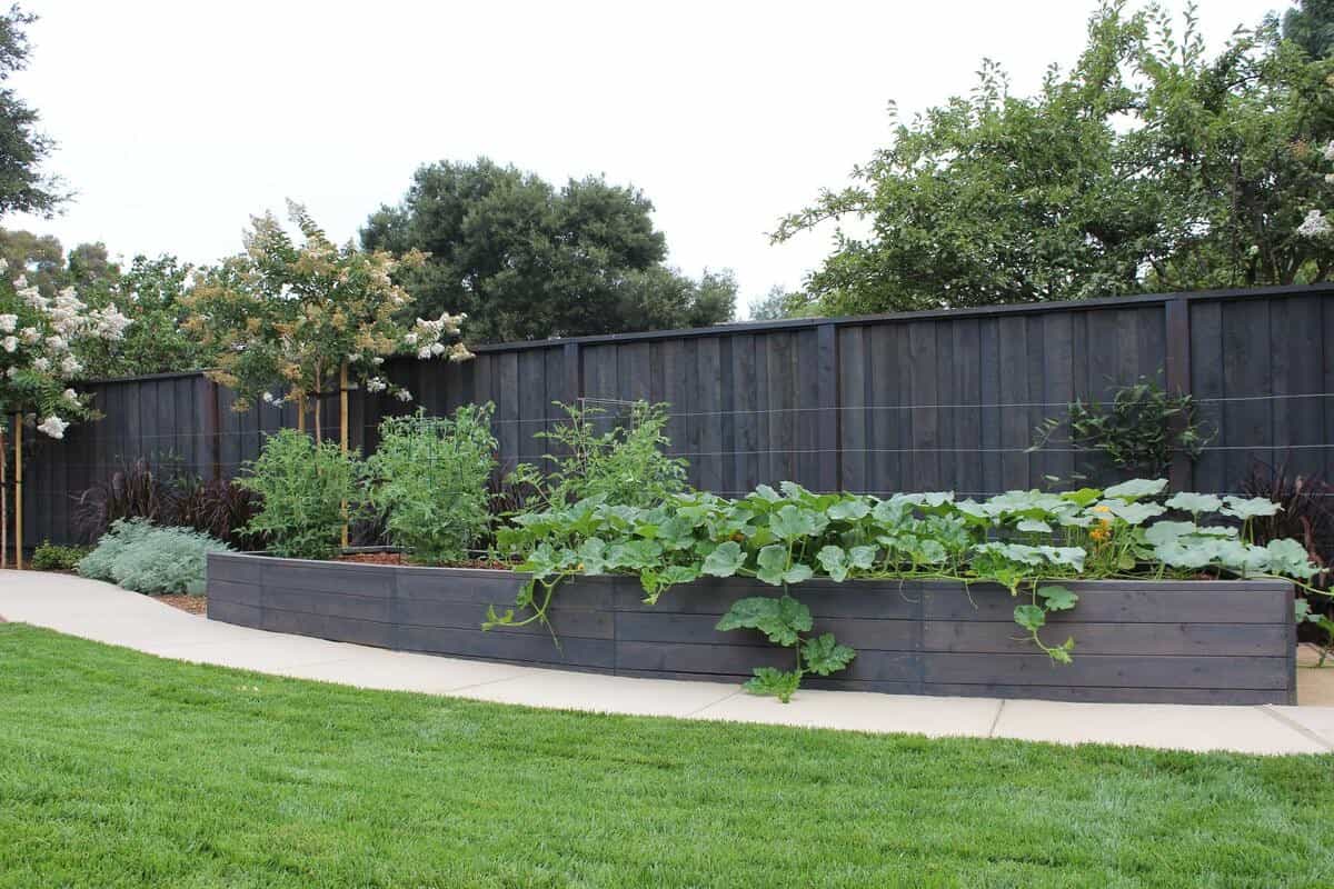 Garden Bed From Stained Wood Boards