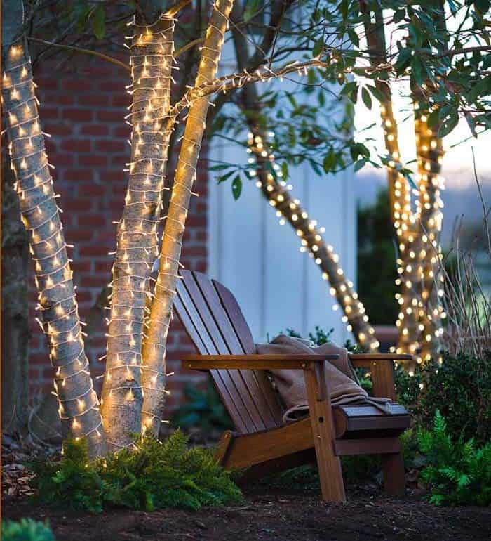 Twinkle Lights Illuminate Tropical Trees