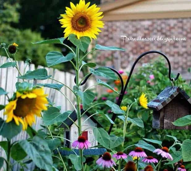 Pops Of Yellow In A Traditional Garden