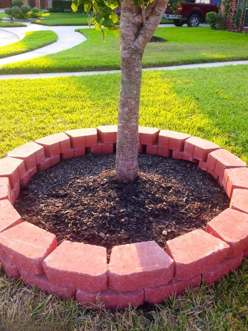 Tree Ring Planter