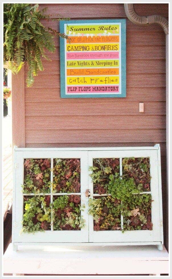 Window Frame Becomes Vertical Garden for Succulents