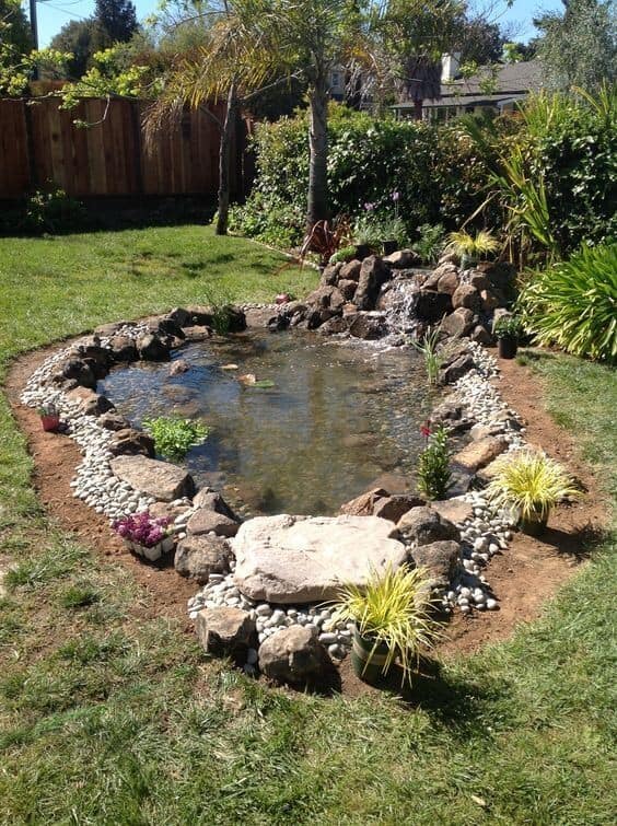 Pond With Rock Edge