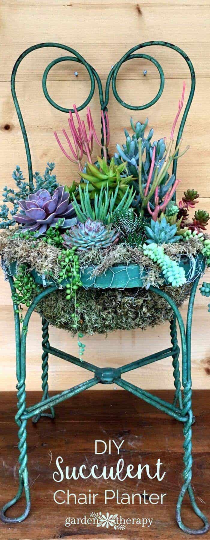 Transform an Old Chair into an Overflowing Succulent Planter