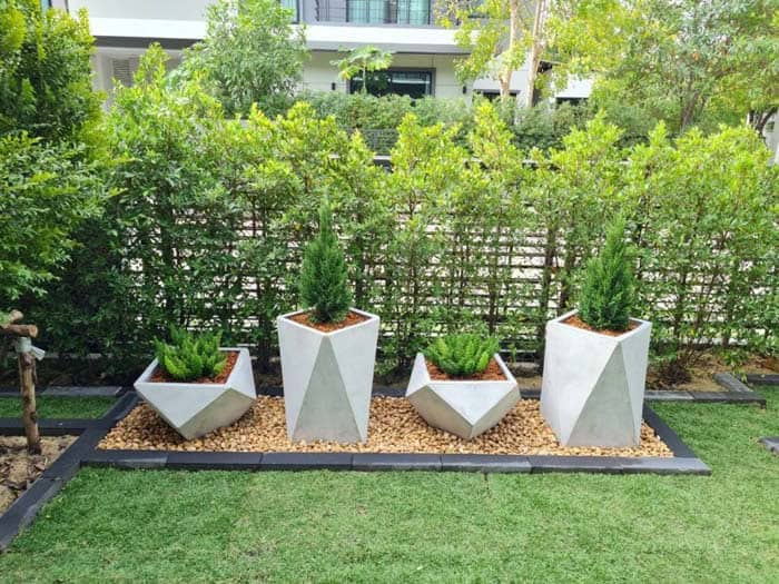 Modern Landscape Along A Fence Idea