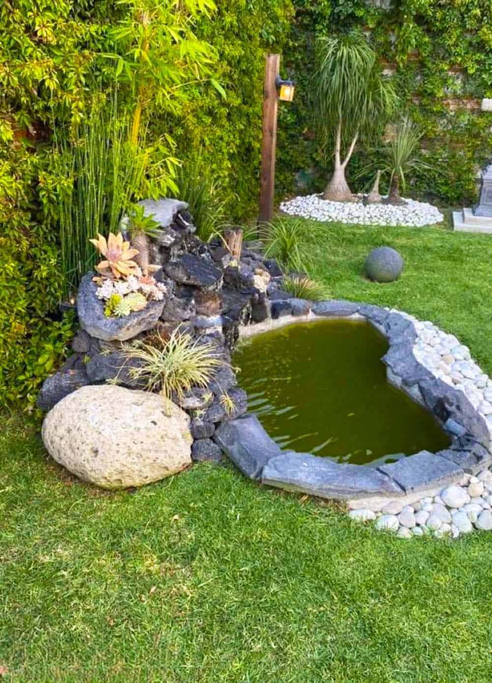 Backyard Pond Oasis