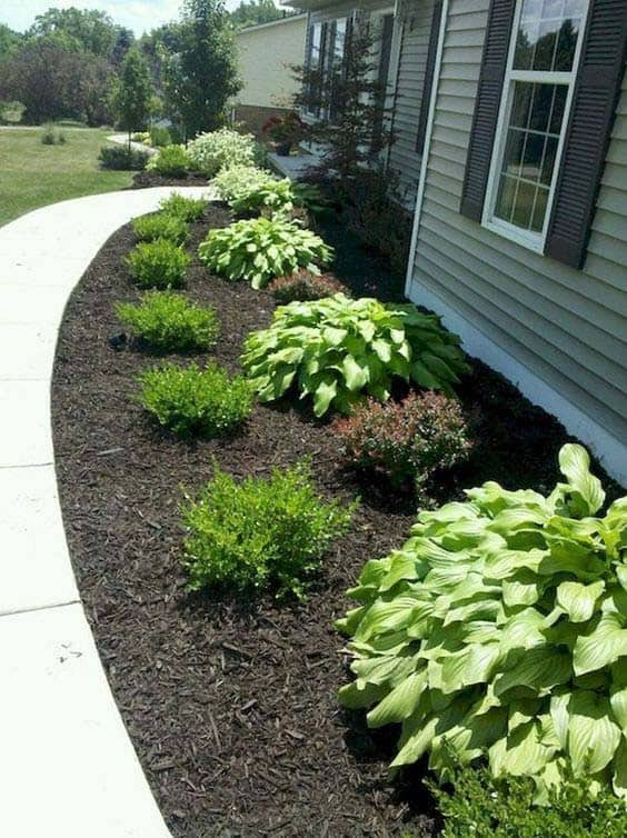 Transform Your Home’s Entryway with Black Mulch