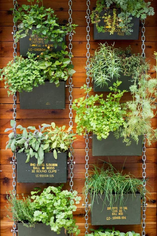 Hanging Ammo Box Garden