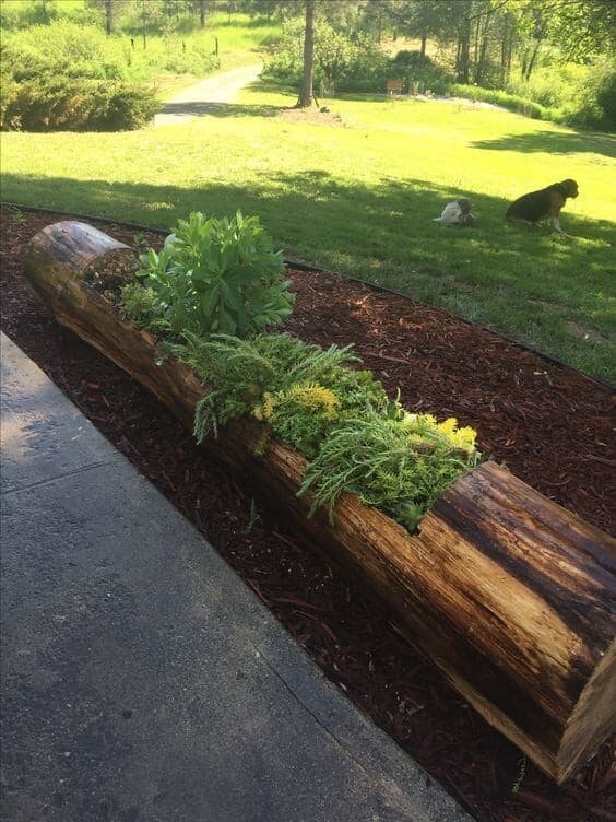 Use a Log Planter as Part of Your Landscape Design