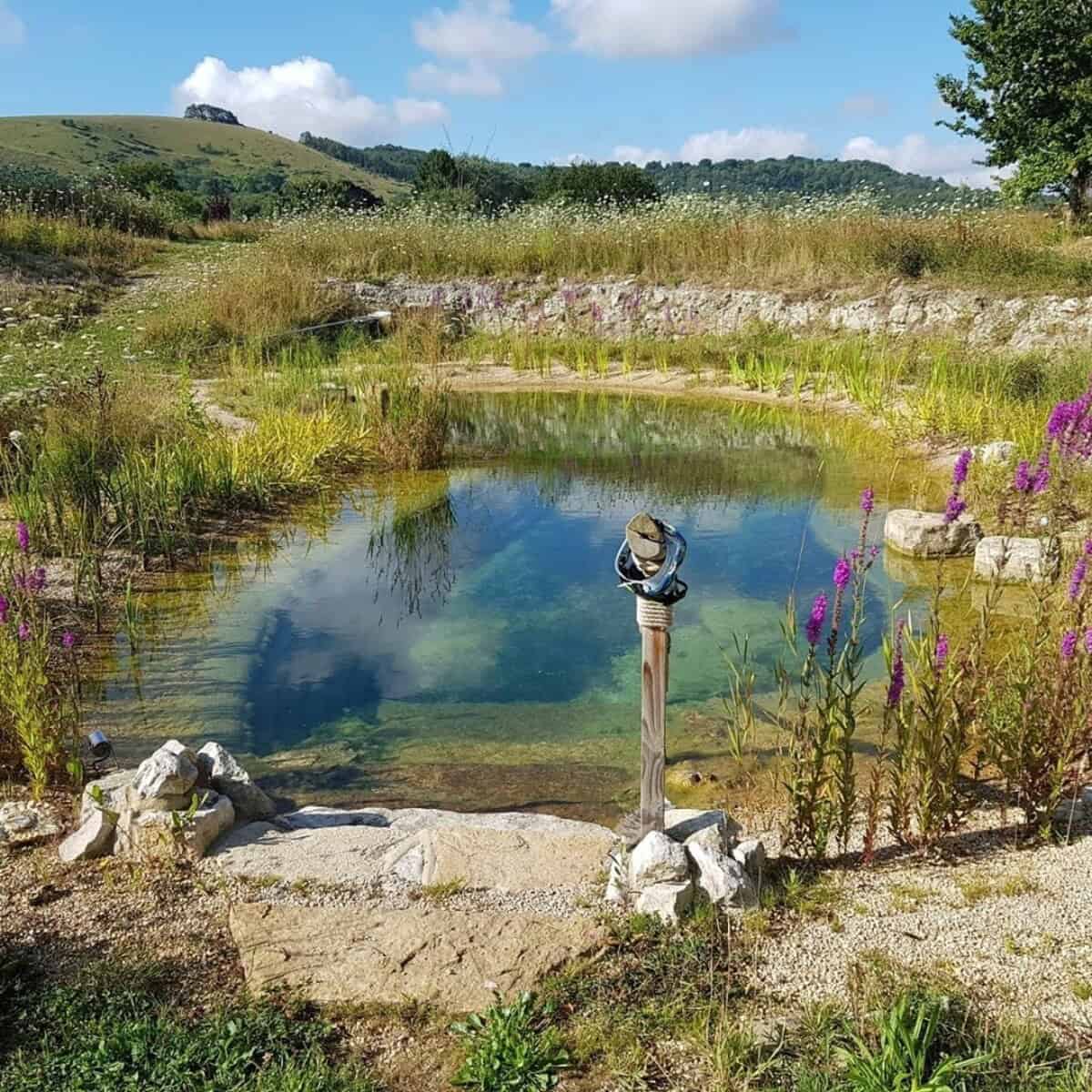 Natural Pond Hidden Behind A Stone Wall