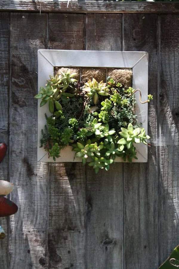 Repurposed Photo Frame Planter