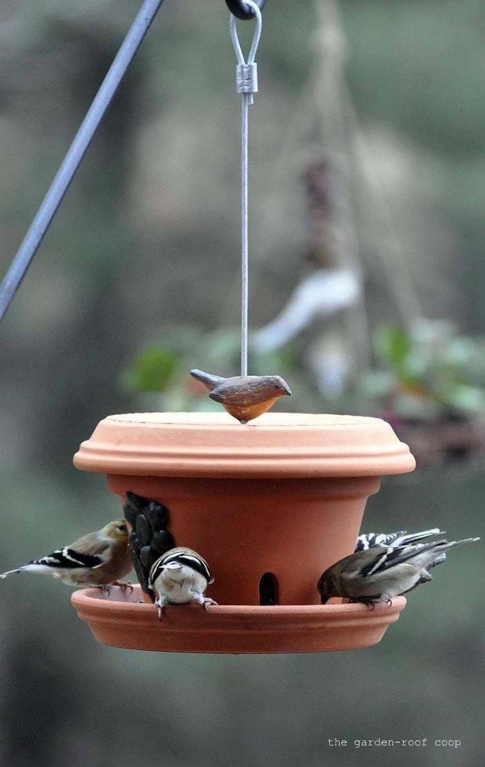 Simple Terracotta Bird Feeder Project