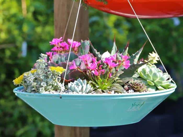 Hang Metal Dish Planter for Flower Arrangements