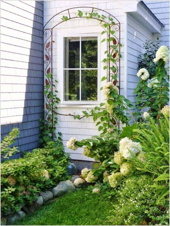 Garden Arch Window Frame Trellis