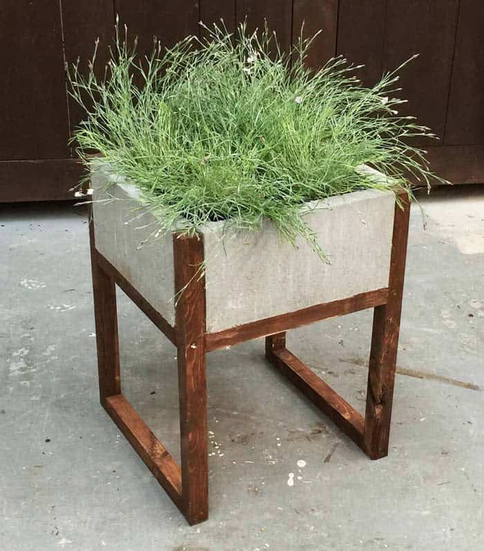 Make a Planter with Concrete Pavers and a Wooden Frame