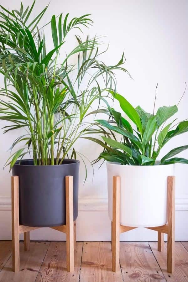 Elegant Matched Planters